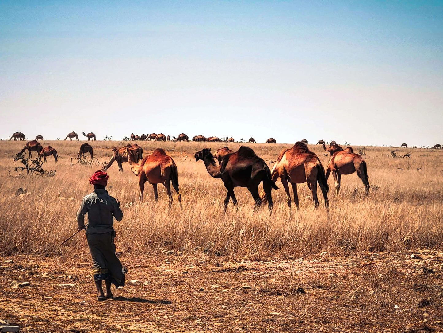 14 Tage | Oman Rundreise – Nord & Süd erleben