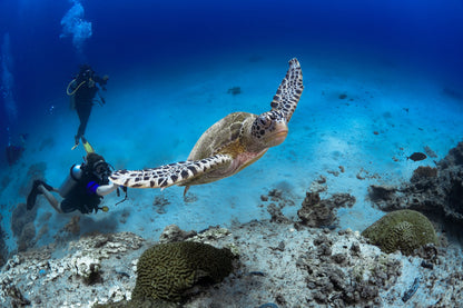 Exklusiv für Sie | Oman entdecken | Maßgeschneidert und persönlich