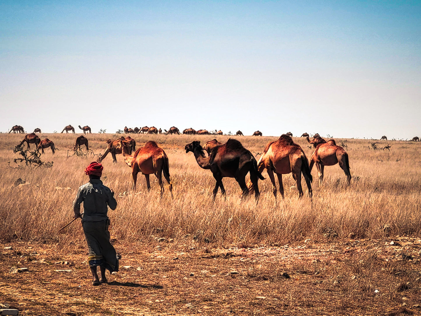 Exklusiv für Sie | Oman entdecken | Maßgeschneidert und persönlich